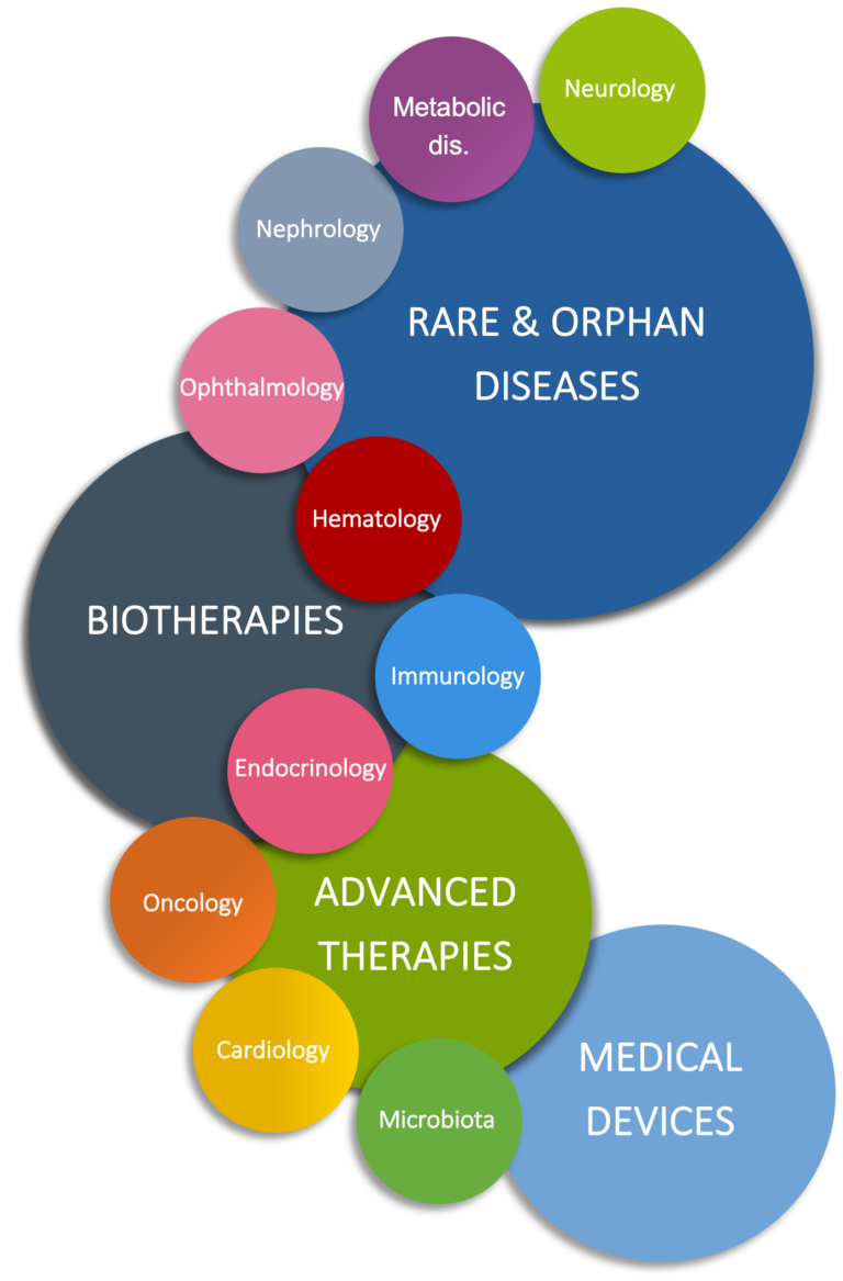 Our services
